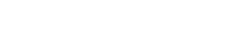 Presenting sponsor